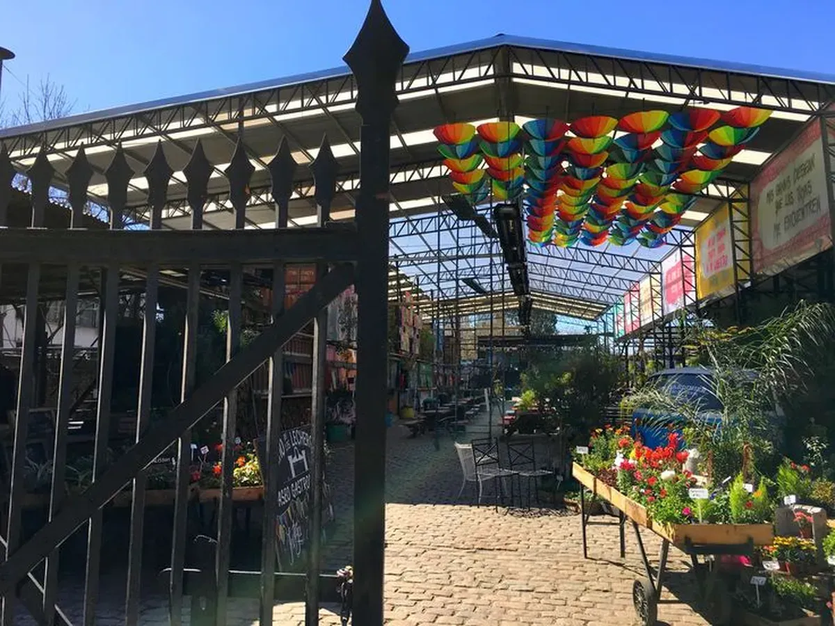 4 paseos gastronómicos en Buenos Aires