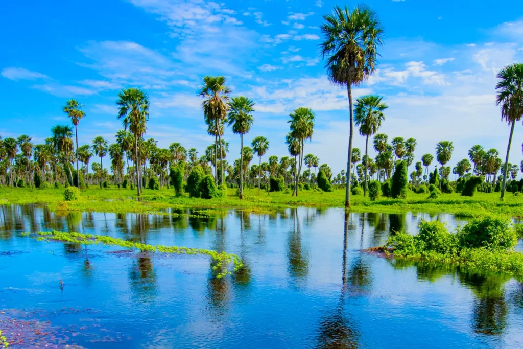 bañado Formosa