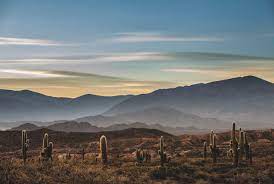 La diversidad biológica argentina en fotos para el asombro: presentan los mejores retratos de Parques Nacionales